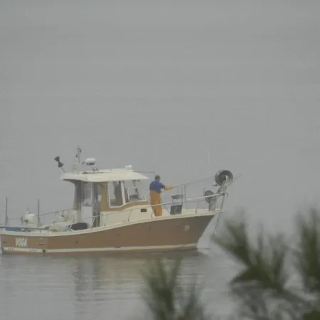 Апартаменты Sidro